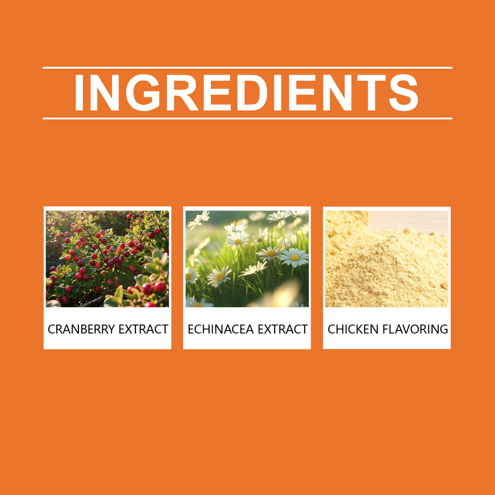 60ml Chicken Flavor Herbal-Dro - đánh giá và giá Herbal Wellness Healthcare